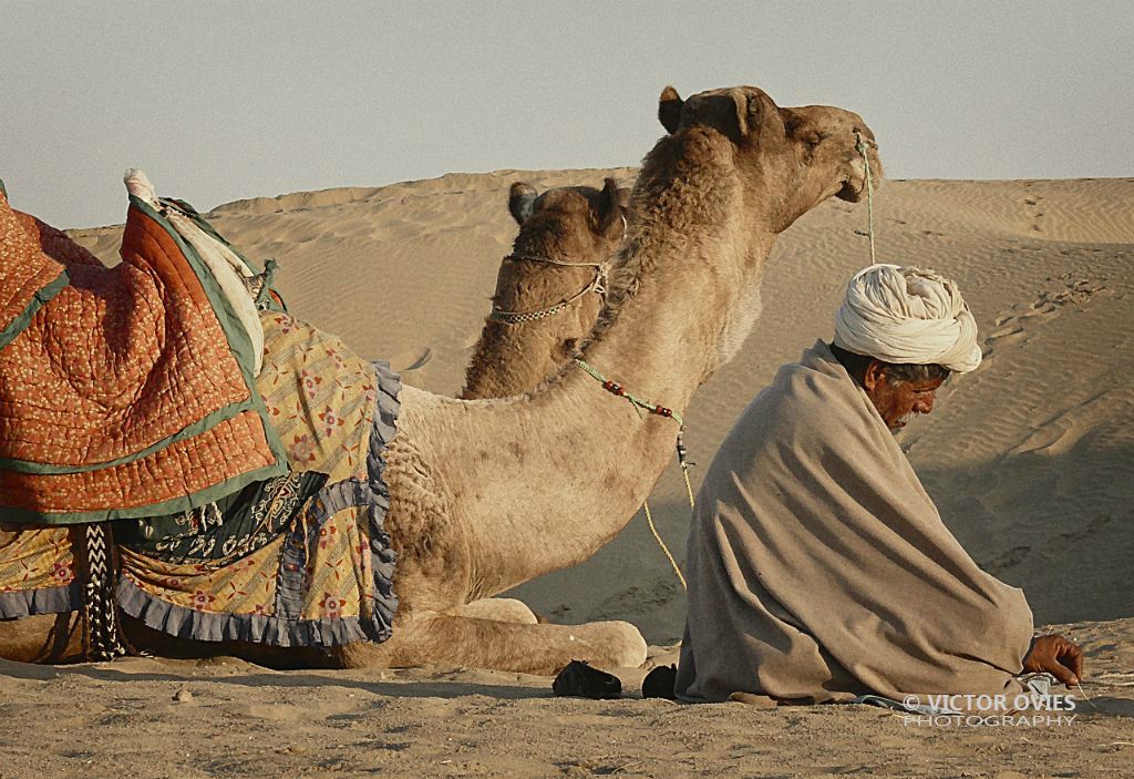 Sam Sand Dunes - Camel man at sunset